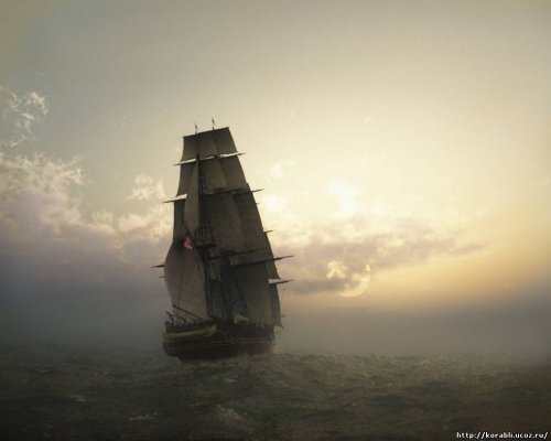 Ссылка на kraken at